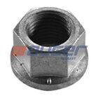 3464015072 Гайка колеса DAF/MAN/MB Benz/Scania/Volvo/BPW Achsen/Trilex, M20x2 3464015072